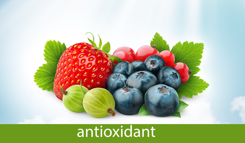 بهترین آنتی هیستامین طبیعی برای کنترل حساسیت